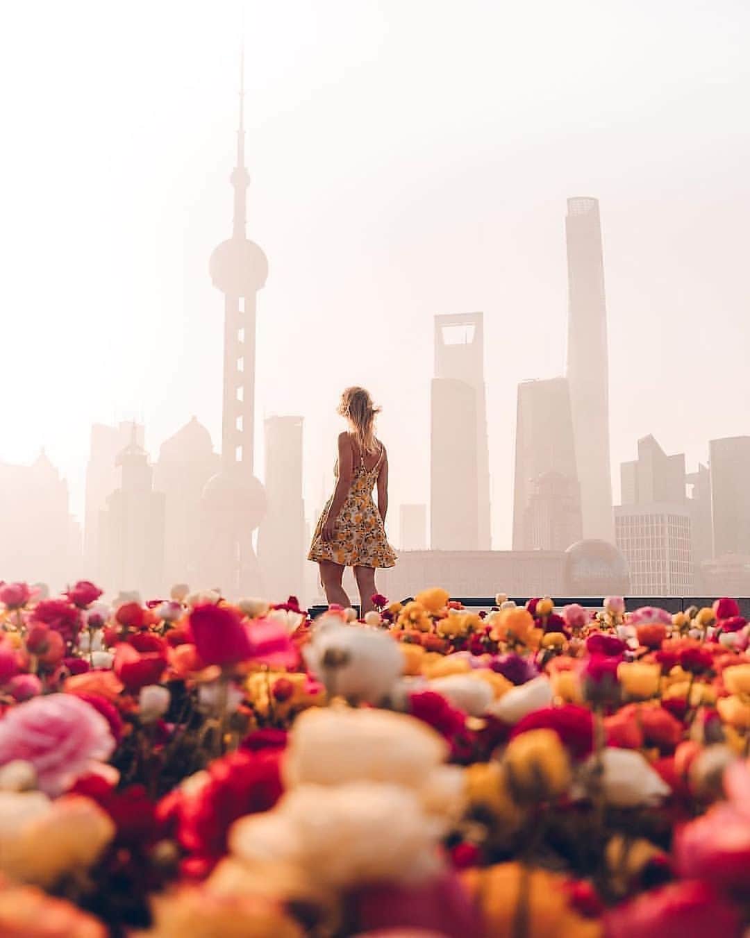 VzcoMoodのインスタグラム：「Mood from Shanghai 🌸🌺 📷: @nomadlad  To be discovered please follow: @dscvr.mood Tag: #dscvr_mood」