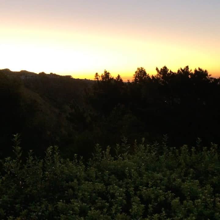 メアリー・マクドネルのインスタグラム：「A NEW DAY IS DAWNING. WELCOME #kamalaharris 💃🏻💃🏻💃🏻💃🏻」