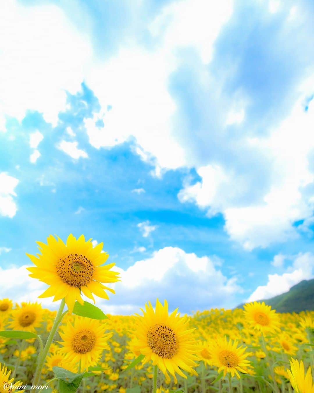☀もり、のインスタグラム