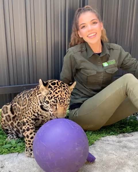 Zoological Wildlife Foundationのインスタグラム