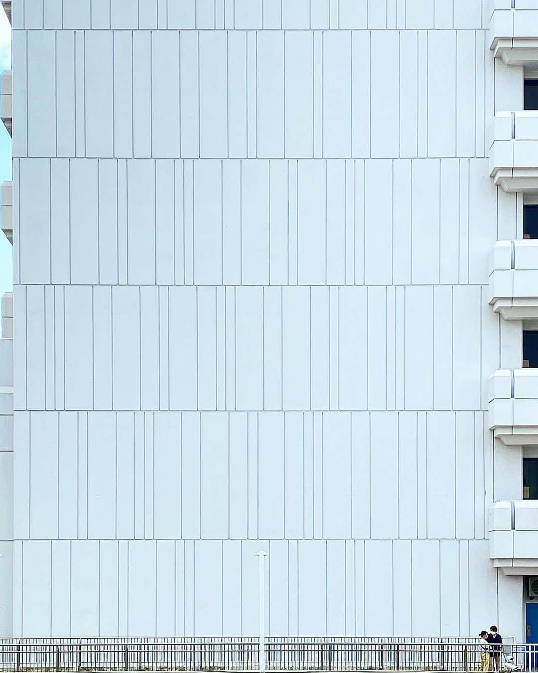 tsuno2noのインスタグラム：「12.August.2020 阿弥陀籤 . #ザ壁部 #igersjp #instagram #こんななの #minimalint #9minimal7 #ic_minimal #arkminimal #rsa_minimal #indies_gram #tv_simplicity #jj_minimalart #arte_minimal #タグキング👑 #minimalmood #shotoniphone #soulminimalist #indies_minimal #minimal_greece #instagramjapan #buildingstylesgf #ig_minimalshots #たいにーぴーぽー #unlimitedminimal #paradiseofminimal #minimal_perfection #loves_united_minimal #ihaveathingforminimal #grand_doorsandwindows .」