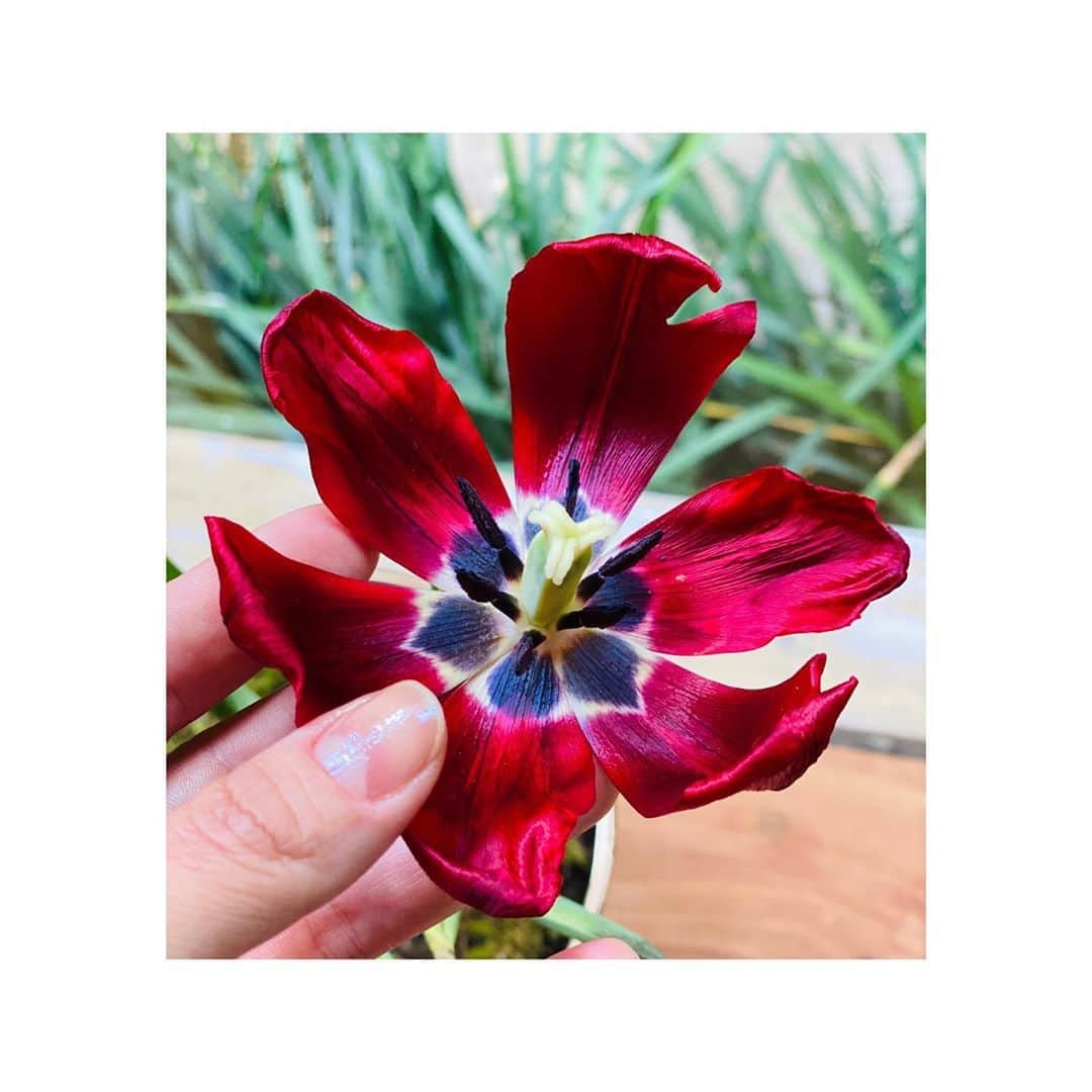 のインスタグラム：「Bom dia! ☀️」