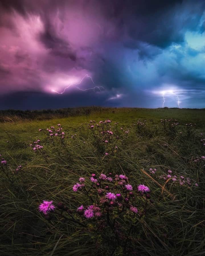Padgramさんのインスタグラム写真 - (PadgramInstagram)「⚡"Collision Course"-A beautiful shot of storm at Den Helder by @laanscape  #pgstar #pgdaily #planetgo #planetearth #storm #pgcounty」8月12日 23時13分 - planet.go