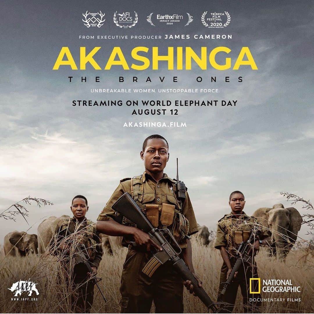ブリアナ・エヴィガンのインスタグラム：「TODAY IS THE DAY!!! Happy world elephant day... Huge congrats to my buddy @damien_mander for all of his honorable work in Africa as well as today’s release. This is a must watch these women are a huge inspiration to me!!! Meet “the brave ones” - an all-female team of rangers in Zimbabwe and the last line of defense against poachers.  #Akashinga: The Brave Ones from @jamescameronofficial is STREAMING NOW at Akashinga.film. Thank you for all that you do, all that you’ve done, and for holding the line down, risking your lives to keep these animals alive and to preserve planet earth. @damien_mander @int.anti.poaching.foundation @natgeodocs #akashinga #thebraveones #womenempowerment #womensupportingwomen #leadwithwomen #leadership #jamescameron #natgeo #worldelephantday SWIPE RIGHT FOR TRAILER! 🐘💨🧡 (link in bio to watch the film)」
