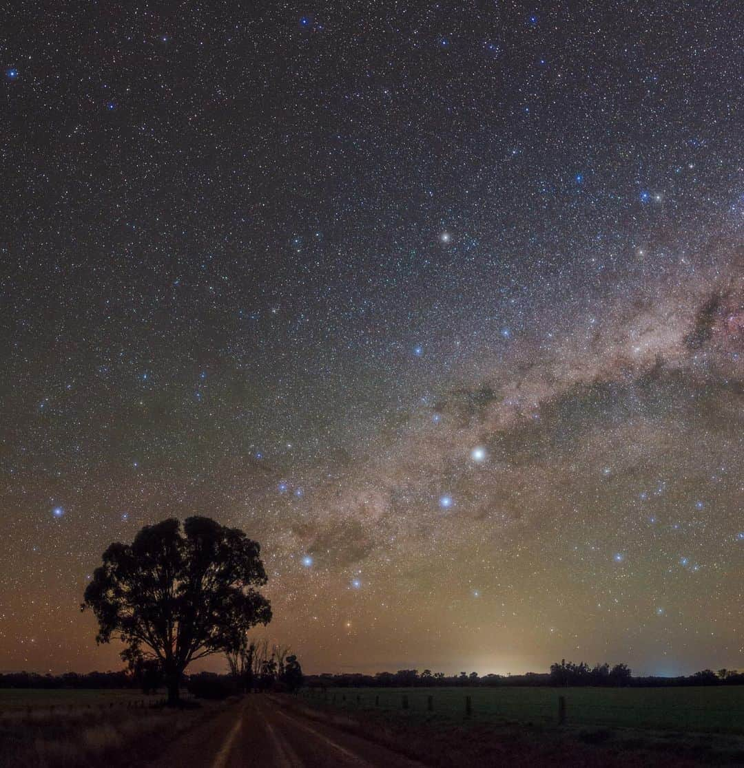 ナショナルジオグラフィックさんのインスタグラム写真 - (ナショナルジオグラフィックInstagram)「Photo by @babaktafreshi  Slowly swipe to see the entire image of the Milky Way setting above eucalyptus trees in New South Wales, Australia. The Southern Cross and bright stars Alpha and Berta Centauri appear in the first panel, then comes the galactic center of the constellation Scorpius with its bright orange star Antares. Lights of nearby towns glow on the horizon. Explore more from Earth to the universe @babaktafreshi. #twanight #milkyway #darksky #australia #stargazing」8月12日 23時38分 - natgeo