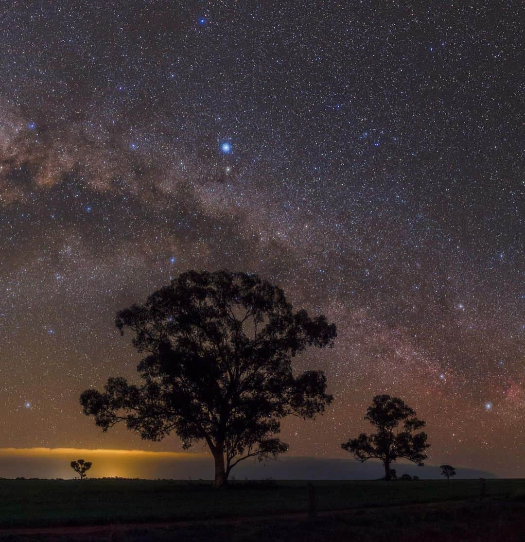 ナショナルジオグラフィックさんのインスタグラム写真 - (ナショナルジオグラフィックInstagram)「Photo by @babaktafreshi  Slowly swipe to see the entire image of the Milky Way setting above eucalyptus trees in New South Wales, Australia. The Southern Cross and bright stars Alpha and Berta Centauri appear in the first panel, then comes the galactic center of the constellation Scorpius with its bright orange star Antares. Lights of nearby towns glow on the horizon. Explore more from Earth to the universe @babaktafreshi. #twanight #milkyway #darksky #australia #stargazing」8月12日 23時38分 - natgeo