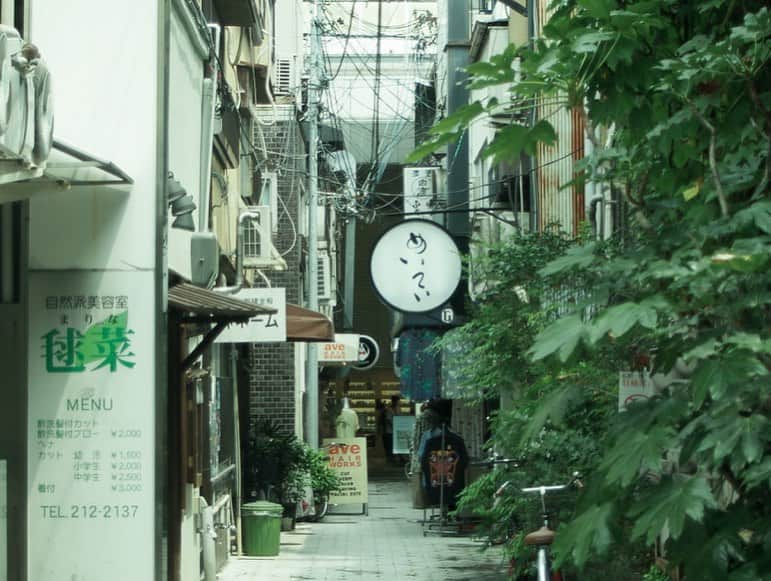 奥野由さんのインスタグラム写真 - (奥野由Instagram)「Photo by 弟🍃  #京都 #kyoto #夏」8月12日 23時45分 - __yuu___