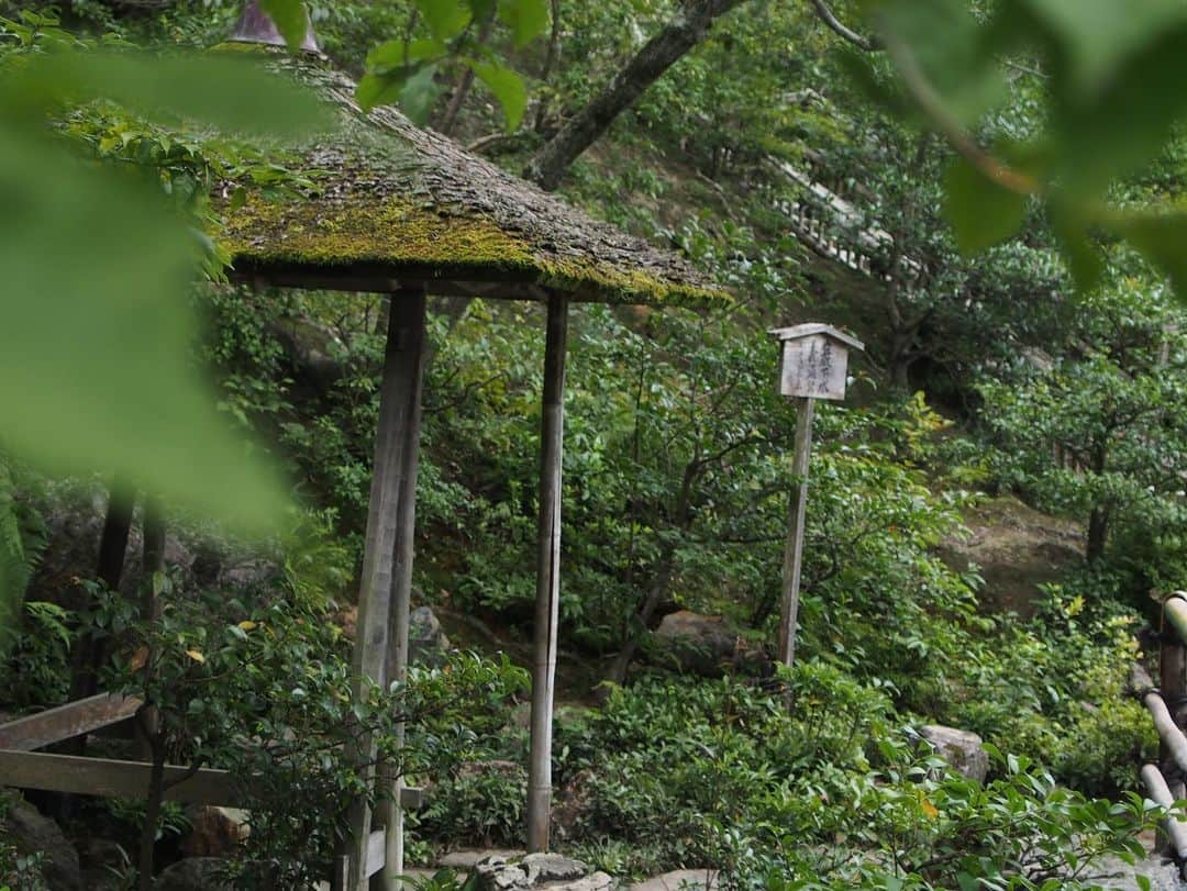 奥野由さんのインスタグラム写真 - (奥野由Instagram)「Photo by 弟🍃  #京都 #kyoto #夏」8月12日 23時45分 - __yuu___