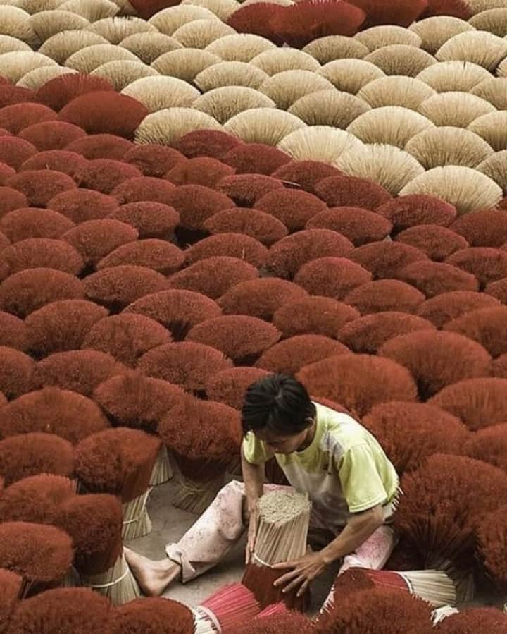 グラフ&ランツのインスタグラム：「The beautiful "Incense Village" in Vietnam, via @sagecollective」