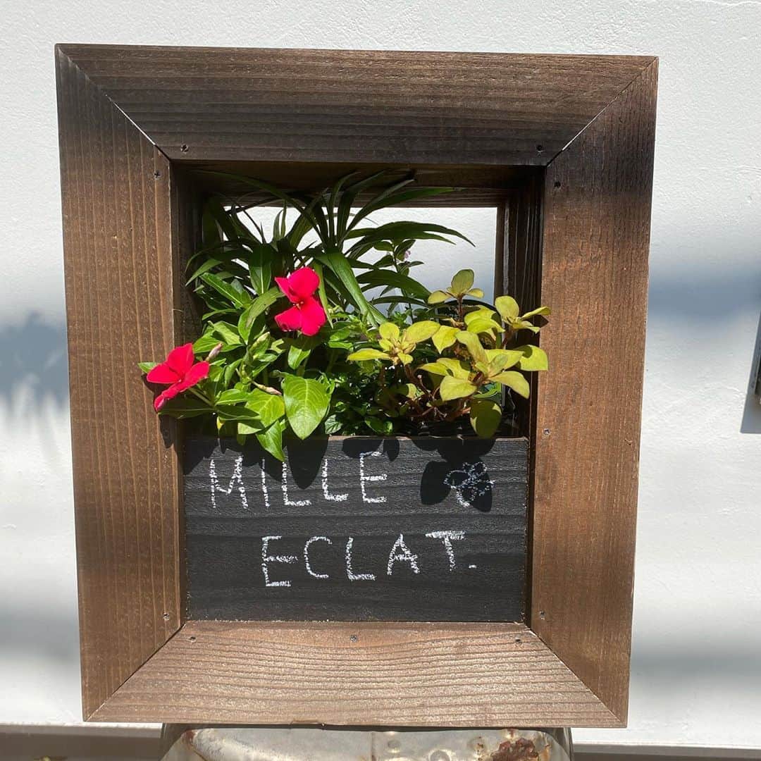 MILLE ECLAT.のグルメインスタ
