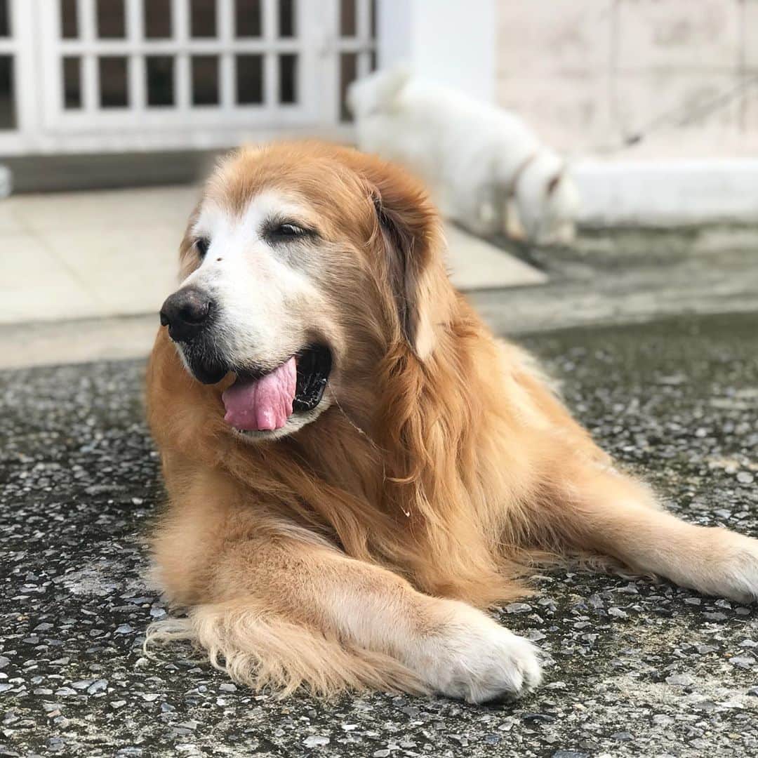 Hoykong&Plamuekのインスタグラム：「Happy Happy Everyone ❤️ #hkpm」