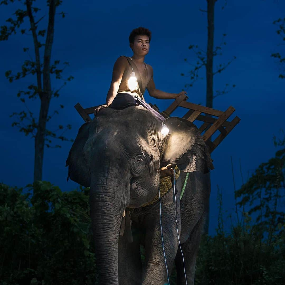 thephotosocietyさんのインスタグラム写真 - (thephotosocietyInstagram)「Photo by @rubensalgadoescudero // Today, on August 12, 2012, the inaugural World Elephant Day was launched to bring attention to the urgent plight of Asian and African elephants. The elephant is loved, revered and respected by people and cultures around the world, yet we balance on the brink of seeing the last of this magnificent creature. In the photos, 'Oozie' Too Lei, poses for a portrait on his 11-year-old elephant Ba Lei Shu at a logging camp in Bago Division, Myanmar where some households have solar panels. Oozies, or elephant handlers have worked closely with elephants for logging since over 300 years. To most here, these beautiful creatures are loved and praised as a family member within these communities. In rural Myanmar, over 85% of the population lack access to electricity so solar light has the potential to improve lives overnight.  Small, inexpensive photovoltaic power systems allow people to do more with their waking hours at no extra cost.   This image is part of my long term project 'Solar Portraits' which addresses the important issue of lack of access of electricity around the world, and the positive impact that solar electricity systems are having in different communities. All scenes have been lit only by solar powered light which are contributing to the improvement in people’s standard of living. Follow me on @rubensalgadoescudero to see the world through my lens… #solar #elephant #worldelephantday #world-elephant-day #portrait #sustainable #led #myanmar #elephants #natgeo #nationalgeographicmagazine #elefante #elefantes」8月13日 10時11分 - thephotosociety