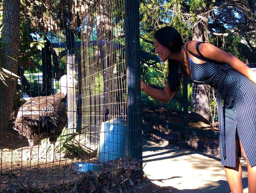 奥野彩加さんのインスタグラム写真 - (奥野彩加Instagram)「Sittin on the Cow-ch 🐄 at the Vegan Foo Ranch✨🤟😋🤓 @redfoo   めちゃくちゃ久々に再会〜！お家では大家族。犬5匹🐕、豚ちゃん🐖と七面鳥🦃。 楽しすぎ✨ #youtube 動画作るの楽しみ #許可貰って色々と撮影しました😆  #楽しみ にしてて下さい ❣️  #letsgo • • #テニス #トレーニング #アスリート #筋トレ #筋トレ女子 #スポーツ #アメリカ #tennis #sports #life #gym #training #fitness #athlete #tennisplayer  #redfoo #family #friends #memories #partyrock  #테니스  #운동 #love #california #malibu」8月13日 10時16分 - ayakaokuno