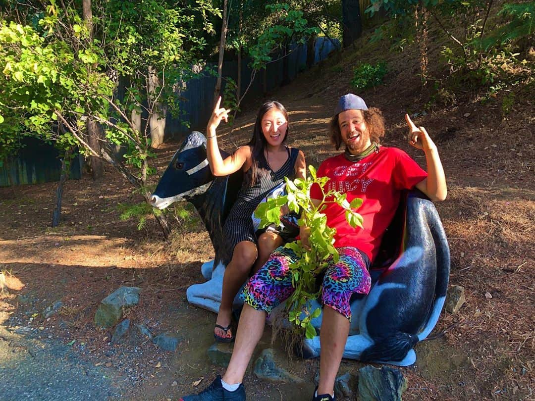 奥野彩加さんのインスタグラム写真 - (奥野彩加Instagram)「Sittin on the Cow-ch 🐄 at the Vegan Foo Ranch✨🤟😋🤓 @redfoo   めちゃくちゃ久々に再会〜！お家では大家族。犬5匹🐕、豚ちゃん🐖と七面鳥🦃。 楽しすぎ✨ #youtube 動画作るの楽しみ #許可貰って色々と撮影しました😆  #楽しみ にしてて下さい ❣️  #letsgo • • #テニス #トレーニング #アスリート #筋トレ #筋トレ女子 #スポーツ #アメリカ #tennis #sports #life #gym #training #fitness #athlete #tennisplayer  #redfoo #family #friends #memories #partyrock  #테니스  #운동 #love #california #malibu」8月13日 10時16分 - ayakaokuno