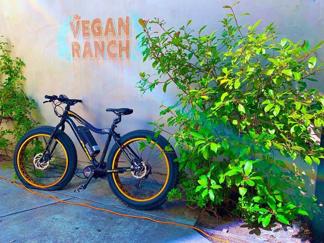 奥野彩加さんのインスタグラム写真 - (奥野彩加Instagram)「Sittin on the Cow-ch 🐄 at the Vegan Foo Ranch✨🤟😋🤓 @redfoo   めちゃくちゃ久々に再会〜！お家では大家族。犬5匹🐕、豚ちゃん🐖と七面鳥🦃。 楽しすぎ✨ #youtube 動画作るの楽しみ #許可貰って色々と撮影しました😆  #楽しみ にしてて下さい ❣️  #letsgo • • #テニス #トレーニング #アスリート #筋トレ #筋トレ女子 #スポーツ #アメリカ #tennis #sports #life #gym #training #fitness #athlete #tennisplayer  #redfoo #family #friends #memories #partyrock  #테니스  #운동 #love #california #malibu」8月13日 10時16分 - ayakaokuno