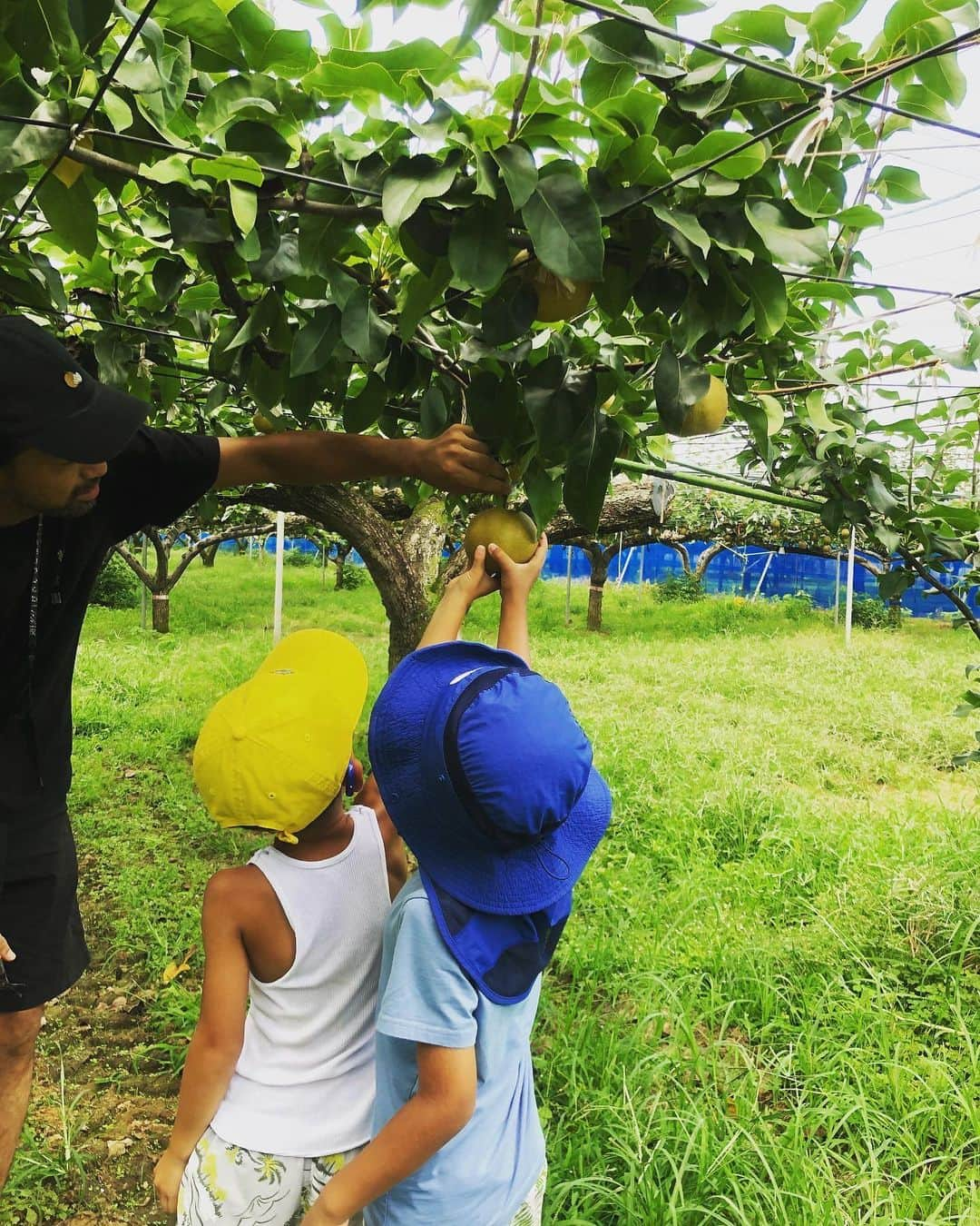 紗羅マリーさんのインスタグラム写真 - (紗羅マリーInstagram)「梨狩り🍐🍐🍐🌈🍐🍐🍐 毎日夏休み満喫中🐠  ブブちゃん大きくて 来年にはもう抱っこ出来ないかも😂」8月13日 10時36分 - saramary12