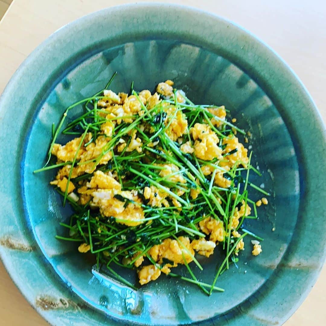 ただすけのインスタグラム：「仕事で西へ向かおうと思ったら、忘れてた豆苗がスネ夫みたいになってたので、慌てて頂きました。」