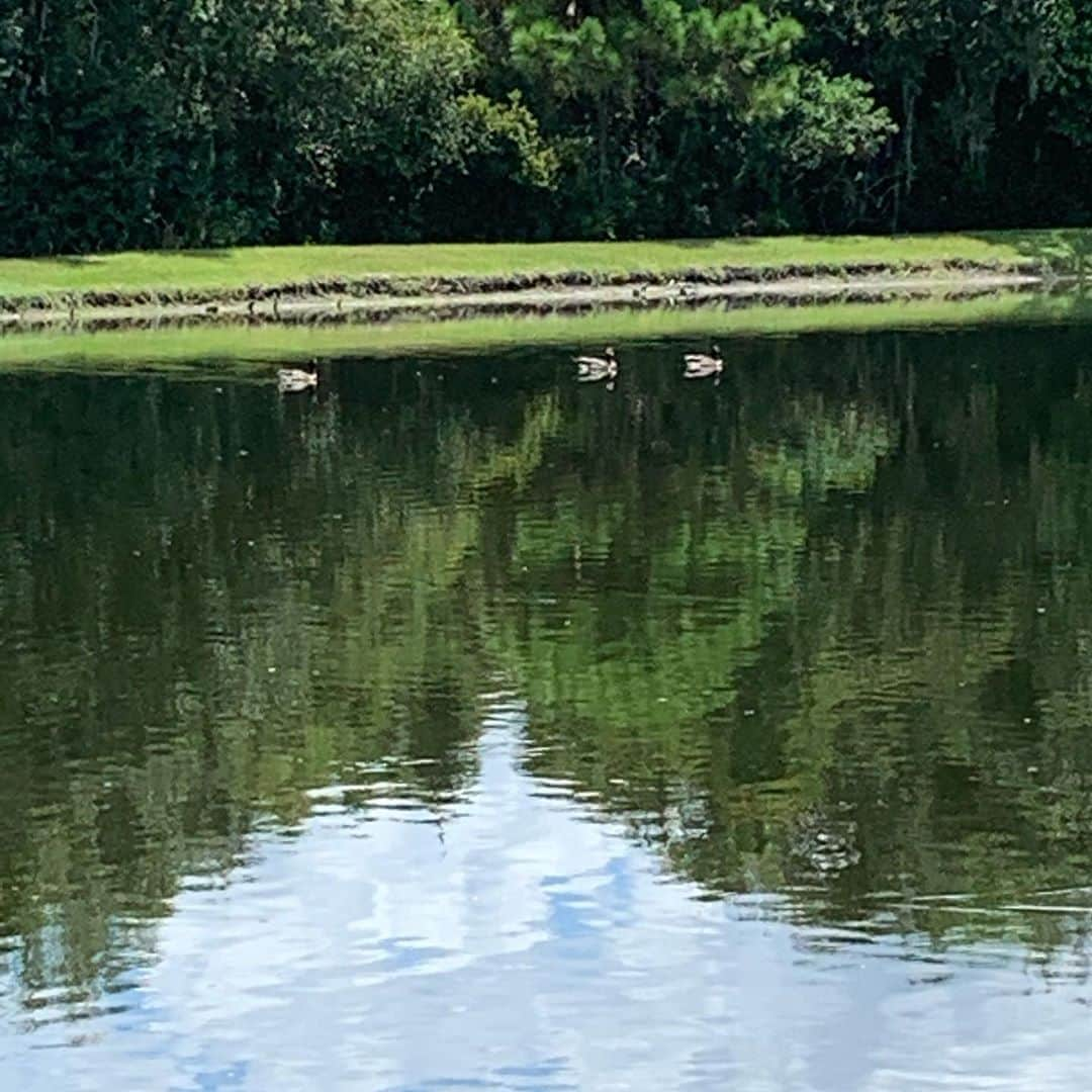 上原浩治さんのインスタグラム写真 - (上原浩治Instagram)「コウジ散歩☺️ みんなが同じ方向に、目標に向かえば強くなるはず！😛  https://youtu.be/ga8bDt93IF0」8月13日 10時31分 - koji19uehara