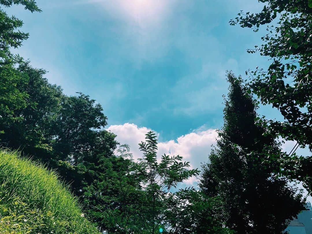 南波志帆さんのインスタグラム写真 - (南波志帆Instagram)「引き続き、真夏。  きょうも溶けながら、お仕事がんばります。なんばります！🌞  #空と緑」8月13日 10時33分 - nanbashiho