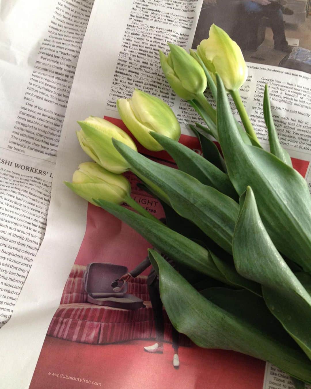 鈴木結女のインスタグラム：「#tulips」