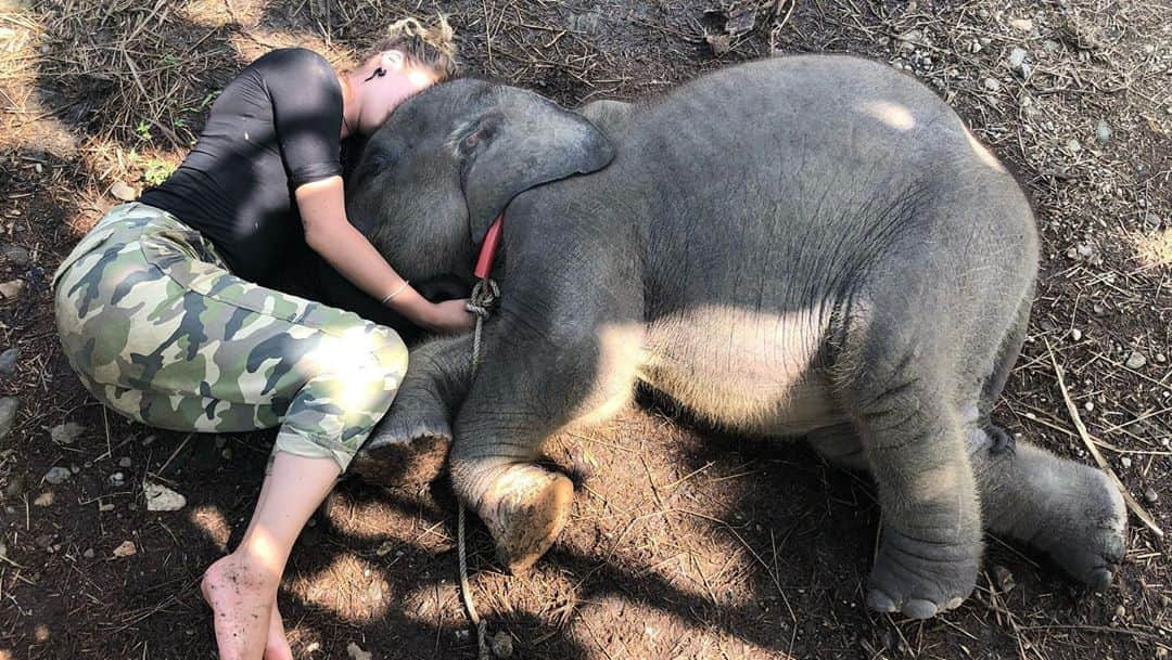 ブリアナ・エヴィガンさんのインスタグラム写真 - (ブリアナ・エヴィガンInstagram)「My favorite day of all days... #worldelephantday my favorite friend on the planet. My spirt animal. My guides in life. I miss you africa, I miss you Indonesia. Here’s some snippets of what I miss most on a day like today. Trekking through the deep forest to find wild elephants. Finding tiger prints and kind of hoping they’re close by. Orangutans popping out of nowhere. Meeting sunshine one of the bigger elephants I’ve ever been right in front of. Getting to spend time with Salma even though we all knew when we left she would never survive where she was living. It all breaks my heart but at the same time it all gives me purpose. I look forward to finding rivers and setting up camp with people I’ve just met, listening to the forest, the jungles, and the bush. They have so much to teach us. I love planet earth and today I feel very grateful to be here. These majestic souls are loyal, compassionate, honest, survivors, wild, strong, gentle, and brilliant. They also never forget you. They need family to survive they need connection... just like all of us. We’re in this together. Keep loving, keep being true to your heart!!! 🐘💨🧡 #keepthewildwild」8月13日 10時50分 - brianaevigan