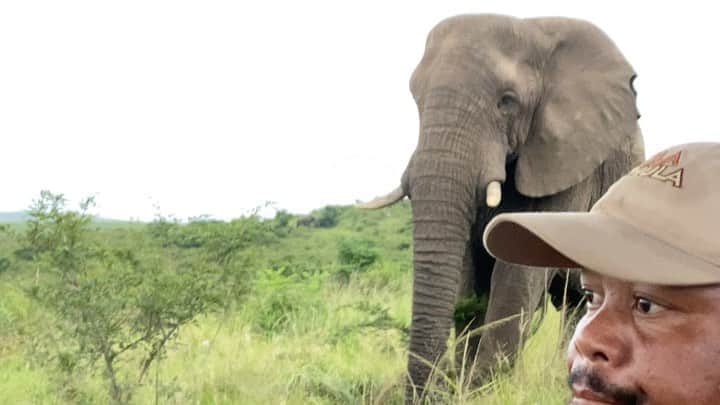ブリアナ・エヴィガンのインスタグラム：「My favorite day of all days... #worldelephantday my favorite friend on the planet. My spirt animal. My guides in life. I miss you africa, I miss you Indonesia. Here’s some snippets of what I miss most on a day like today. Trekking through the deep forest to find wild elephants. Finding tiger prints and kind of hoping they’re close by. Orangutans popping out of nowhere. Meeting sunshine one of the bigger elephants I’ve ever been right in front of. Getting to spend time with Salma even though we all knew when we left she would never survive where she was living. It all breaks my heart but at the same time it all gives me purpose. I look forward to finding rivers and setting up camp with people I’ve just met, listening to the forest, the jungles, and the bush. They have so much to teach us. I love planet earth and today I feel very grateful to be here. These majestic souls are loyal, compassionate, honest, survivors, wild, strong, gentle, and brilliant. They also never forget you. They need family to survive they need connection... just like all of us. We’re in this together. Keep loving, keep being true to your heart!!! 🐘💨🧡 #keepthewildwild」