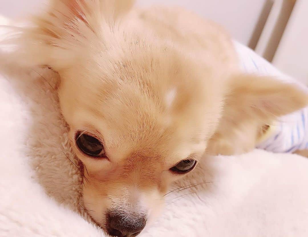 若月まりあ（若月瑪麗亞）のインスタグラム：「かわち(●´ω`●)❤」