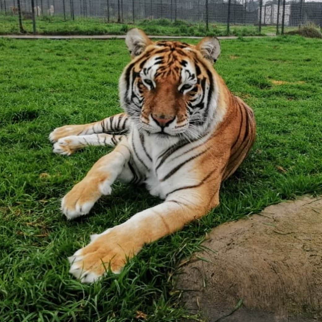 Black Jaguar-White Tiger さんのインスタグラム写真 - (Black Jaguar-White Tiger Instagram)「Slider. Achilles x 2. Julio. Michael. Inca x 2. La Famiglia :) #Stage2bBJWT #Today」8月13日 2時45分 - blackjaguarwhitetiger