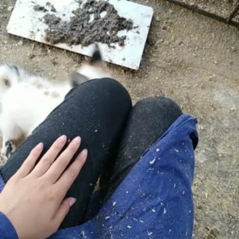 Rylaiのインスタグラム