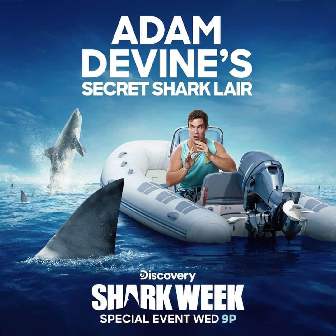 Discoveryさんのインスタグラム写真 - (DiscoveryInstagram)「Tiger sharks are usually solitary creatures, but they still come together for some good music.  Adam Devine's Secret Shark Lair premieres tonight at 9p on @Discovery.」8月13日 6時07分 - discovery