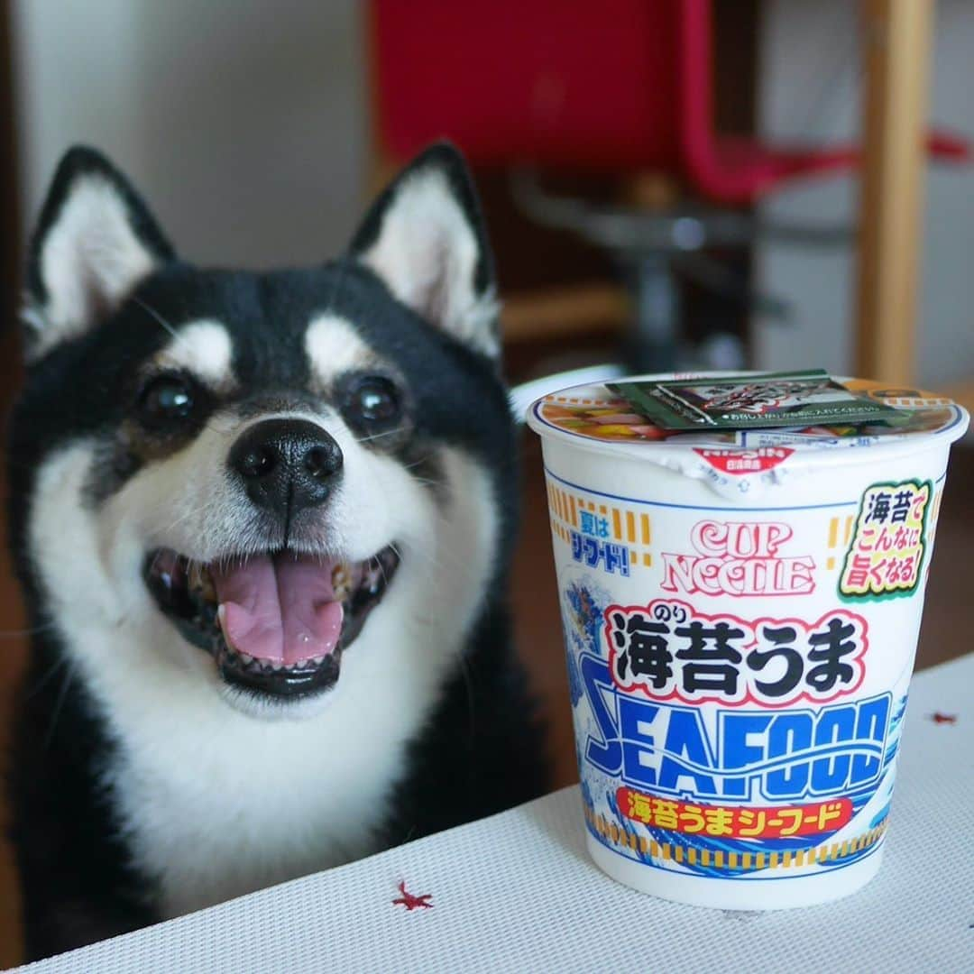 くろさんのインスタグラム写真 - (くろInstagram)「8/3発売の海苔うまシーフード🍜 「海苔でこんなに旨くなる！」ってパッケージにありましたが、めっちゃ普通でしたwww 〜〜〜 以下ニュースリリースのコピペ 「カップヌードル ビッグ」シリーズは、「カップヌードル」のビッグサイズ商品として1991年に発売して以来、若者を中心に多くの方々からご愛顧いただいています。 今回発売する「カップヌードル 海苔うまシーフード ビッグ」は、「カップヌードル シーフードヌードル」に "海苔の佃煮" を入れる、SNSやテレビなどで話題の食べ方を再現した商品です。 ポークと魚介のうまみをきかせたシーフードスープに、海苔のうまみと甘みを凝縮した "特製海苔うまペースト" を加えることで、華やかな磯の香りと、隠し味に加えたごま油の風味が広がり、よりコク深い味わいに仕上がります。 この夏限定の「シーフードヌードル」を、ぜひお楽しみください。 〜〜〜 #カップヌードル海苔うまシーフードビッグ #カップヌードル海苔うまシーフード #海苔うまシーフードビッグ #海苔うまシーフード #海苔でこんなに旨くなる #夏はシーフード #日清カップヌードル #朝からラーメン #朝からカップヌードル #朝ラーメン #朝カップヌードル #朝ラー」8月13日 7時30分 - m6bmw