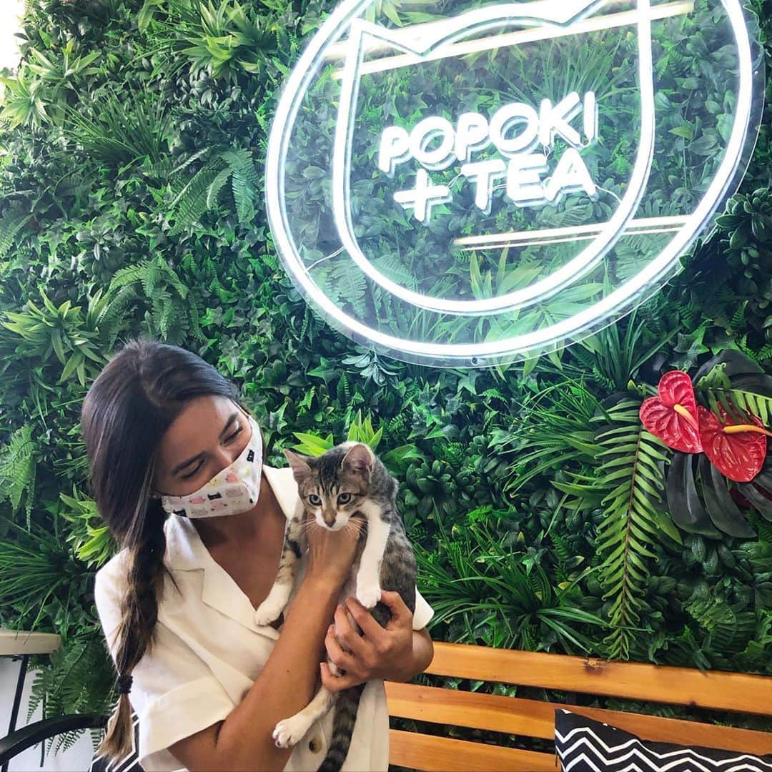 マヤ アリーナのインスタグラム：「Trying to convince these cats that they love me. But ultimately I am nothing without food 😂 thank you @popokiandtea for some cat therapy!  猫カフェで可愛子ちゃんと一緒に遊んだよー🥰食べ物が無かったら無視されてたと思う🐱」