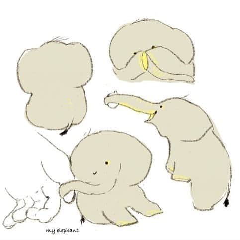 momoroさんのインスタグラム写真 - (momoroInstagram)「昨日は世界象の日  #elephant #illustration #momoro#ももろ#イラスト#ぞう」8月13日 8時00分 - momoro6666