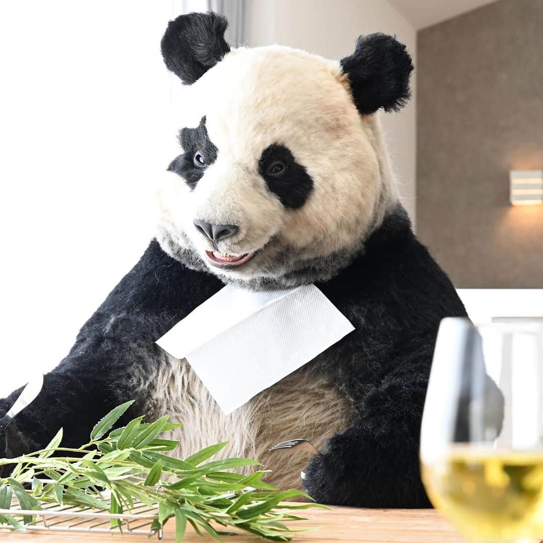 星星（セイセイ）さんのインスタグラム写真 - (星星（セイセイ）Instagram)「🥞🐼🍷🎋 #おいしい #もぐもぐ #笹はワインにあう疑惑 #食べるの大好き . きょうの #ベラベラENGLISHは ...💯 🌟Yummy! 🌟おいしい!🤤 . #星星 #パンダ #panda #pandagram #パンダ好きな人と繋がりたい #ZIP!」8月13日 9時33分 - seisei_panda