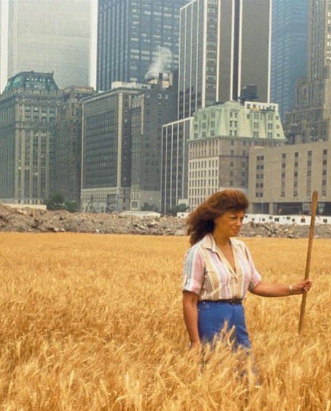 トームさんのインスタグラム写真 - (トームInstagram)「#September11 #911 #twintowers #repost @templeofleaves In the summer of 1982, two acres of wheat were planted and harvested by artist Agnes Denes, two blocks from #WallStreet and the #WorldTradeCenter and facing the #StatueofLiberty via @studioshamshiri . #repost @tmagazine #AgnesDenes, the queen of Land Art, made one of New York’s greatest public art projects ever in 1982. Now, the world might be catching up with her. “Creativity and innovation is the answer in a troubled world to swing the pendulum. Be creative. Never stop. Creativity is hope,” Denes said recently at a news conference for the Shed (@theshedny) — the mammoth Hudson Yards arts space that is scheduled to open next year — where she will have a show in 2019. The artist's “Wheatfield — A Confrontation,” a two-acre wheat field that was planted in May 1982 on the landfill that would eventually become Battery Park City, was harvested that August and then disappeared forever from the site. Denes, too, would largely vanish from the city’s consciousness until 2015, when her work “The Living Pyramid,” a grassy ziggurat, popped up at the Socrates Sculpture Park in Queens. She has had exhibitions all over the world and shows at museums at Cornell University and in Santa Monica. Her show at the Shed in 2019 will be her first solo exhibition at a major New York institution. Why did it take so long? And how did a trailblazer like Denes, whose most flamboyant work was easily accessible to millions of New Yorkers, fade from view? Pictured: “Wheatfield – A Confrontation: Battery Park Landfill, Downtown Manhattan – With Artist in the field,” 1982, by John McGrail, courtesy @LeslieTonkonow Artworks + Projects. #artmadebywomen」9月11日 13時22分 - tomenyc