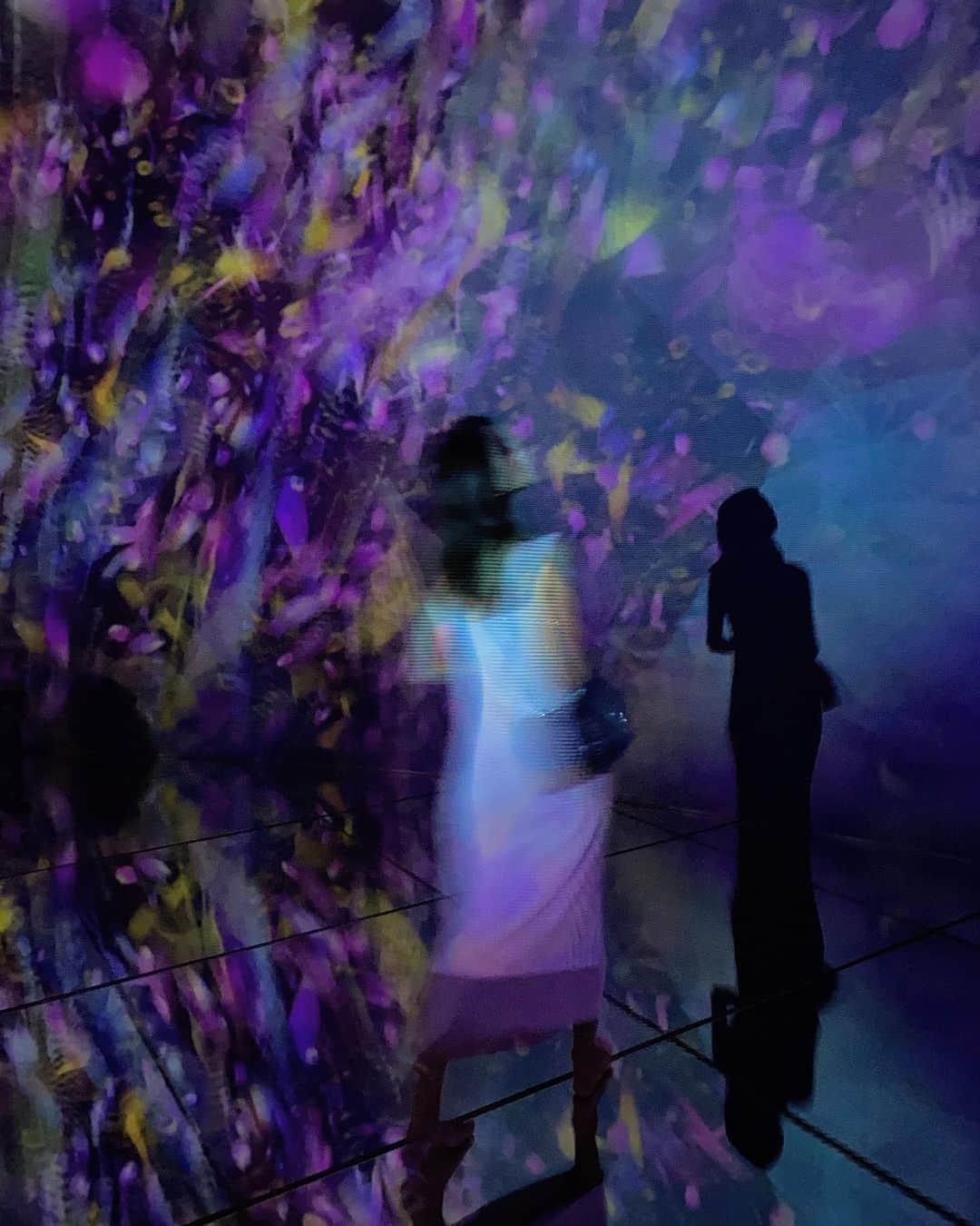 藤井アルダのインスタグラム：「wild and beautiful and drenched in sun 🌻  #teamlab  #flowers」