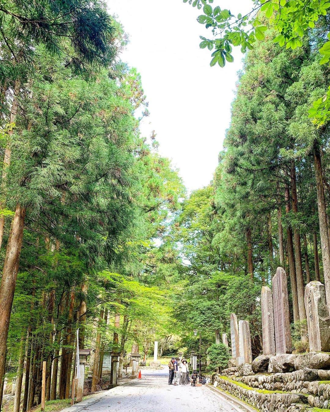 久保陽香さんのインスタグラム写真 - (久保陽香Instagram)「﻿ ﻿ 撮影しながら森林浴出来て﻿ 幸せな一日でした。﻿ ﻿ 自然っていいね🍃」9月11日 13時58分 - kubo_haru