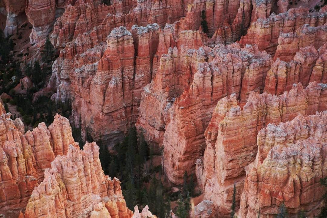 National Geographic Travelさんのインスタグラム写真 - (National Geographic TravelInstagram)「Photo by Matt Borowick @mborowick  This detail shot of the hoodoo rock formations in Bryce Canyon National Park doesn't compare to seeing them in person. The range of heights is actually pretty incredible, as the hoodoos can be anywhere from only a few feet to over a few hundred feet tall. The ones pictured here tower over the trees below. Depending on the height of each hoodoo, the colors can range quite dramatically. Follow @mborowick for more pictures like this. #sunrise #brycecanyon #adventure #utah #mountains」9月11日 5時05分 - natgeotravel