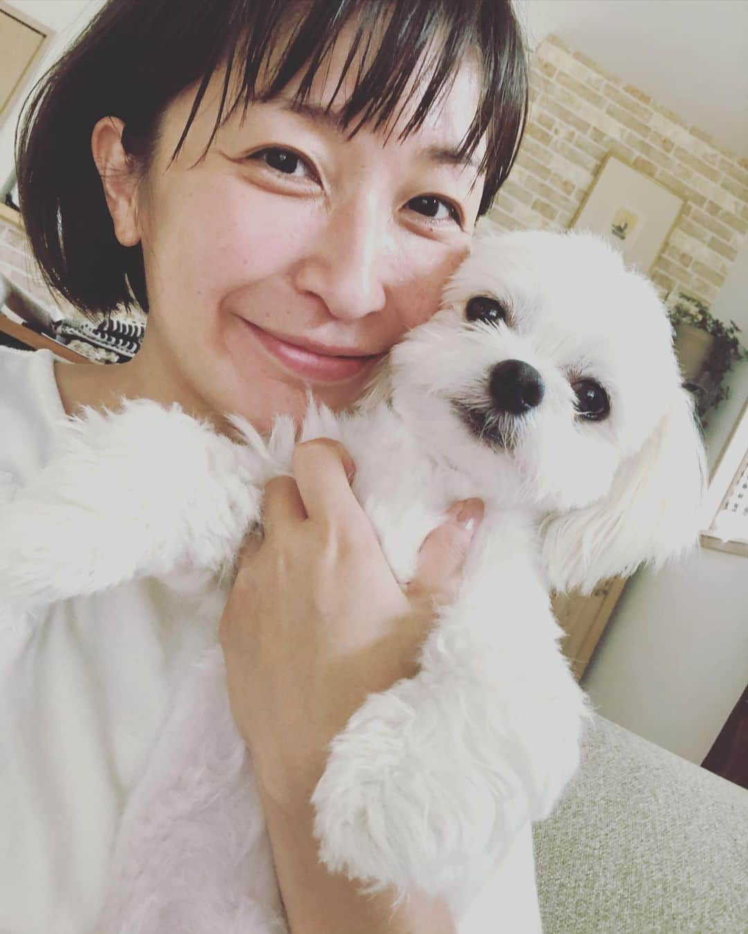 小野真弓さんのインスタグラム写真 - (小野真弓Instagram)「おはようございます🌞 たっぷり寝て、4時半にばちっと起きました*\(^o^)/*✨ だんだんと暑さも落ち着いてきて 気が緩まないように、気をつけたいと思います🙋‍♀️🐶🐶 今日も良い一日をお過ごしください🍃^ ^ #チワワ#ハナちゃん #チワマル#ハルくん #いぬすたぐらむ #いぬばか部 #chihuahua #maltese #mixdog#doglover #dogstagram #庭の住人#カエル#守神#犬のいる暮らし#千葉暮らし#田舎暮らし 庭の主のアマガエルさん🐸🌱 吊るしたオンシジュームの入れ物には3匹居住の合唱団🌴」9月11日 5時55分 - hanaharuaroi