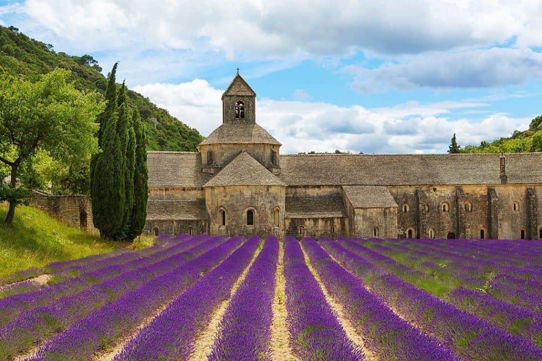 Lonely Planetのインスタグラム：「😍France’s most stunning road trips.  🚗Driving through France is a great way to experience what the country has to offer; the scenery, the history and, of course, the wine (but only once you've agreed on the designated driver!). Tap the link in our bio for ten of the best driving routes through France that will get you planning your perfect road trip itinerary.  Featured locations: 1️⃣Lavender fields at Abbaye Notre-Dame de Sénanque 2️⃣France 3️⃣Oger, Champagne, France 4️⃣Chateau de Chambord, Loire Valley」