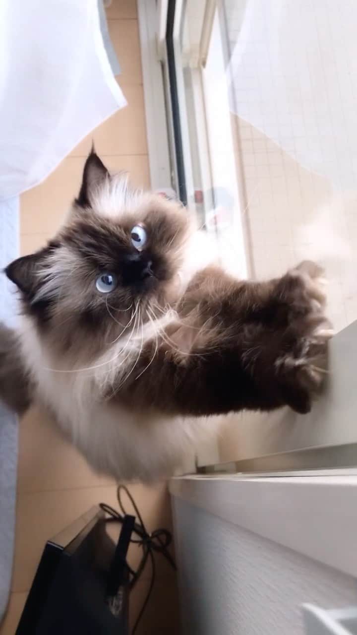 plumeのインスタグラム