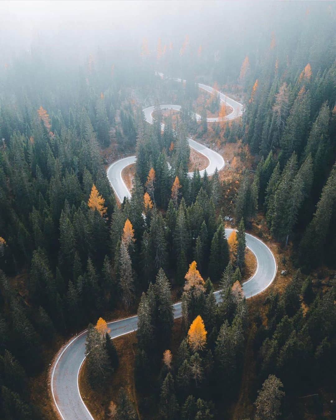 FOLKのインスタグラム：「Hints of autumn. Today’s favorites are: 1.) @marvin_walter 2.) @karl_shakur 3.) @giulianoscarparoph 4.) @hellolaroux 5.) @cfunk44 6.) @robinxbenjamin」