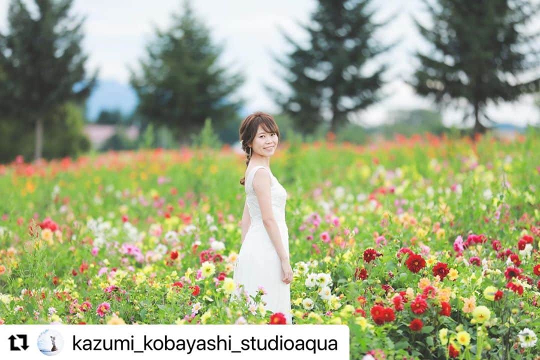のインスタグラム：「#Repost @kazumi_kobayashi_studioaqua with @make_repost ・・・ . · 9月のスタジオSOLAのご予約、 満員御礼となりました！✨ · また来年のご予約、 お待ちしております！🐄♡ · @studiosola_hokkaido  . . ————————————————— Photographer  @kazumi_kobayashi_studioaqua  Hairmake @minae_hairmake_tvb  カメラマン、ヘアメイクのご指名も承っております◎ ————————————————— .  #スタジオアクア表参道渋谷店 #日本中のプレ花嫁さんと繋がりたい #プレ花嫁 #東京カメラ部 #チェリフォト #スタジオアクア #ウェディングフォト #ヘアスタイル #前撮り #結婚式 #卒花嫁 #ロケーションフォト #ウェディングニュース #結婚式準備 #ウェディングフォトグラファー  #tokyocameraclub #marryxoxo #hairmake #d_weddingphoto #igersjp #和装ヘア #花嫁準備 #teamJP #ig_wedding #prewedding#撮る結婚式 #おしゃれ花嫁 #プレ花嫁2020 #プレ花嫁準備」