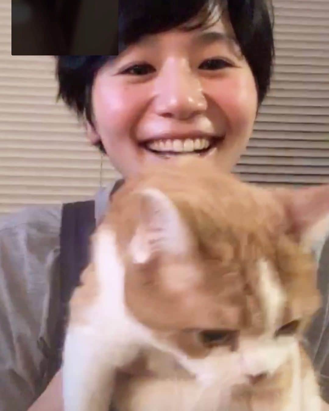 菖蒲理乃さんのインスタグラム写真 - (菖蒲理乃Instagram)「友達とテレビ電話。 小麦ちゃんを見せたくて抱っこしたら嫌がられた。」9月11日 8時21分 - shobuayano