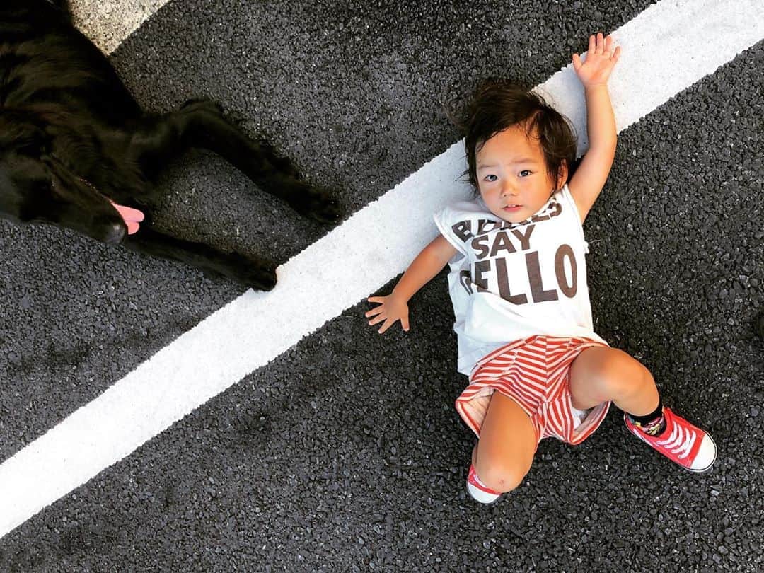 菅井悦子さんのインスタグラム写真 - (菅井悦子Instagram)「大きな犬も小さな犬も大好き。 こちらの #フラットコーテッドレトリバー くん、 まだ1歳未満なのに落ち着いていて😳優しくて、ぺろぺろされて喜んだレオは、なぜかゴロン😂 犬をみかけると、 “いいこいいこしたいよ”と言うので、  犬と挨拶するときは、座ってね。 驚くわんちゃんもいるんだよ。 静かにね。 と、言い続けているのだけど、 座る⇒ゴロンに変換されてしまったのかしら😂」9月11日 8時22分 - etsuko313
