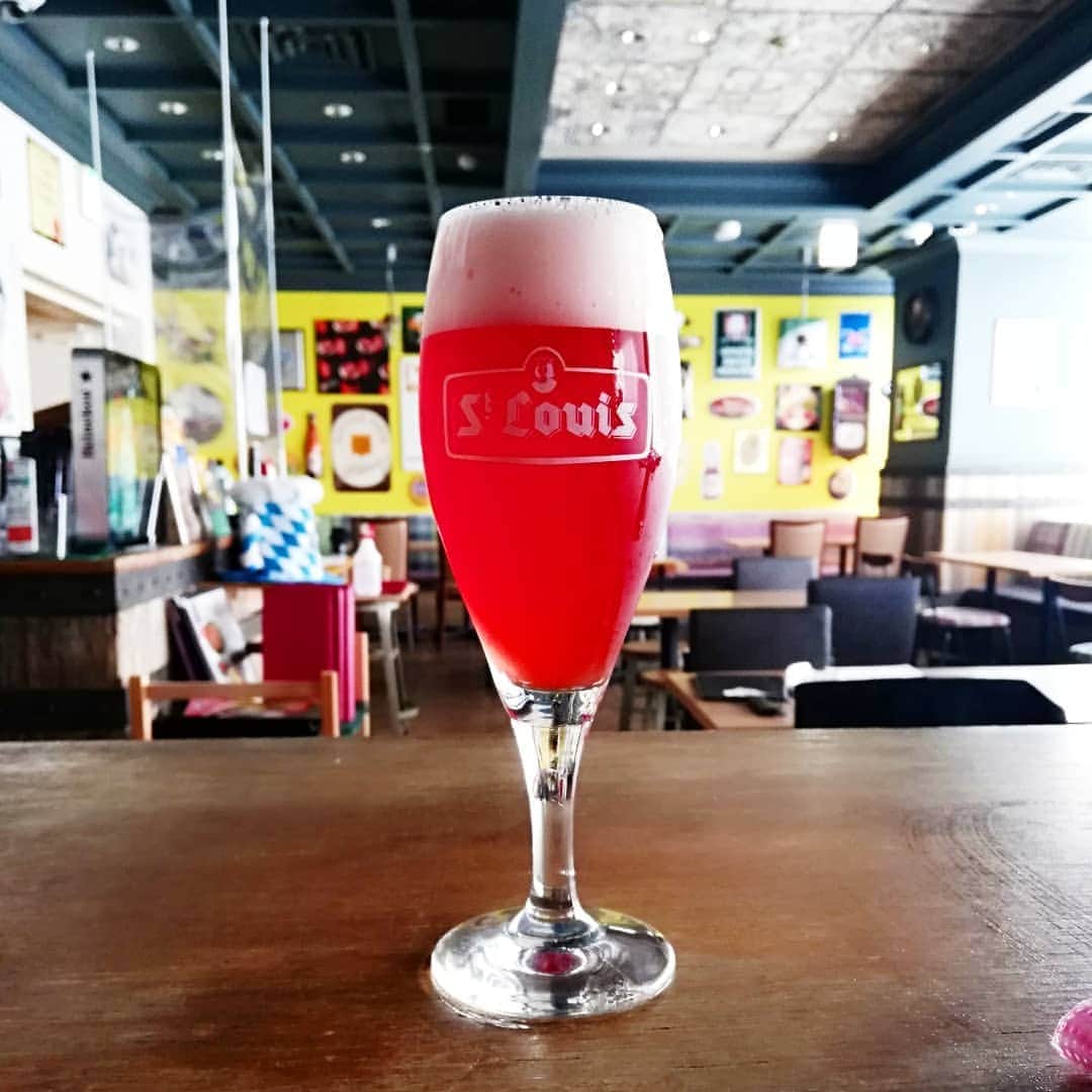 シュタインハウス新宿のグルメインスタ