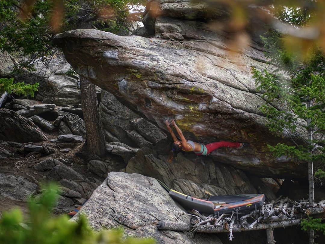 Alexis Mascarenasのインスタグラム：「Unforgiving Tree stand 📸 @a.geiman   #bouldering #wyoming #climbing #labordayweek #rockshop」