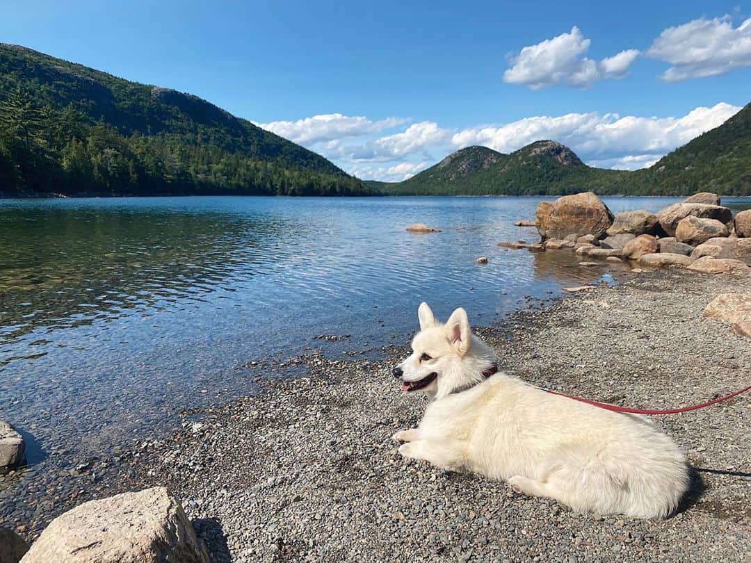 のインスタグラム：「Food tastes so much better outdoors 🥖」