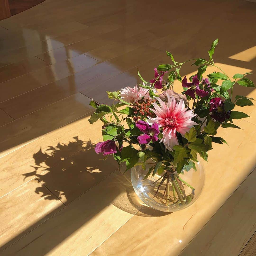 今井美桜さんのインスタグラム写真 - (今井美桜Instagram)「＊ 綺麗なダリア💐  お家の花瓶、 全部ドライフラワーだったから1.2個は生花にしよう😌  ドライフラワーもいいけど、 色があるとお家が華やかになるから◎」9月11日 9時27分 - mio_ima49