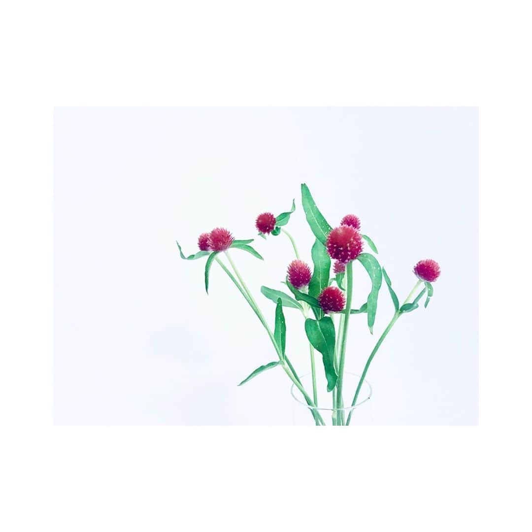 川満アンリさんのインスタグラム写真 - (川満アンリInstagram)「お花買いに行きたい。 家に色がほしいー。 #お花のある暮らし」9月11日 9時50分 - anly_lalala